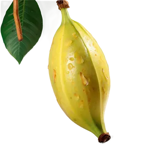 Fresh Star Fruit Png 06252024 PNG Image