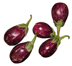 Fresh Striped Eggplants PNG
