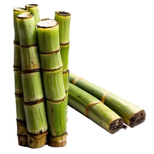 Fresh Sugarcane Png Sfg22 PNG Image