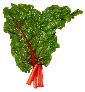 Fresh Swiss Chard Bunch PNG