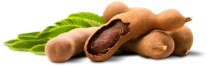 Fresh Tamarind Podsand Leaves PNG Image