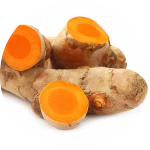 Fresh Turmeric Roots PNG Image