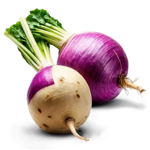 Fresh Turnip Png 06252024 PNG Image