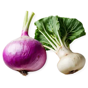 Fresh Turnip Png Jtg98 PNG Image