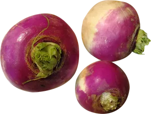 Fresh Turnips Isolatedon Background PNG Image