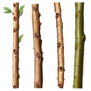 Fresh Twig Png Yjm6 PNG Image