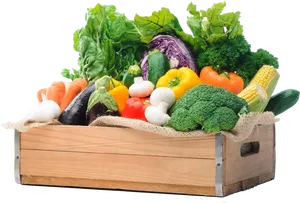 Fresh Vegetable Crate Assortment PNG Image