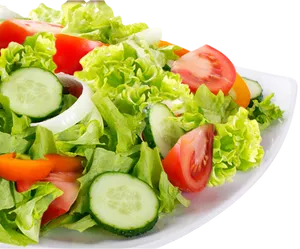 Fresh Vegetable Salad Plate.png PNG Image