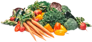 Fresh Vegetables Assortment PNG Image