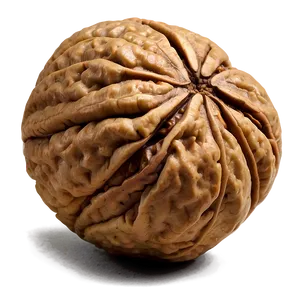 Fresh Walnut Png Bnf56 PNG Image