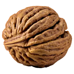 Fresh Walnut Png Gyt PNG Image