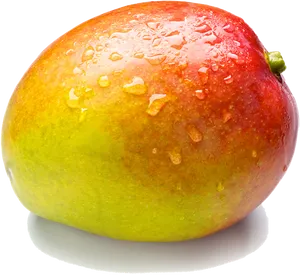 Fresh Water Dropletson Mango PNG Image