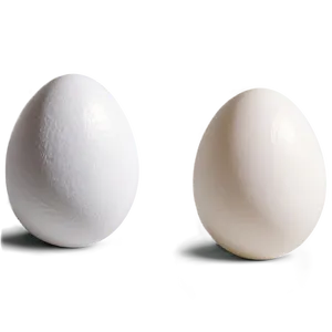 Fresh White Egg Png 06292024 PNG Image