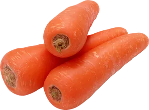 Fresh Whole Carrots Isolated PNG Image