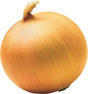 Fresh Yellow Onion PNG