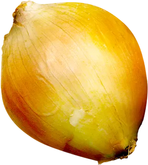 Fresh Yellow Onion Single PNG Image