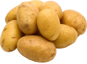 Fresh Yellow Potatoes Black Background PNG Image