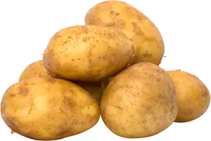 Fresh Yellow Potatoes Black Background PNG Image