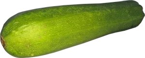 Fresh Zucchini Vegetable PNG