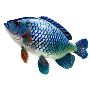 Freshwater Fish Transparent Png Emr30 PNG Image