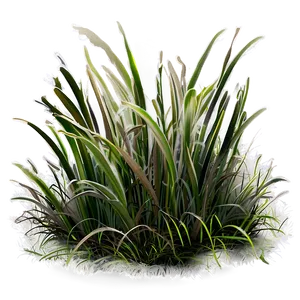 Frostbitten Grass Png Jty70 PNG Image