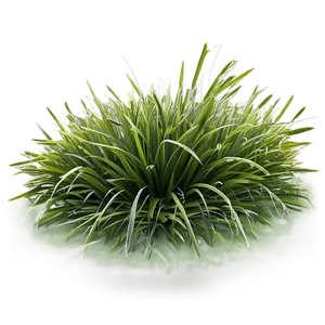 Frostbitten Grass Png Ryx94 PNG Image