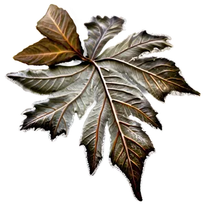 Frosty Morning Fallen Leaves Png Spv PNG Image