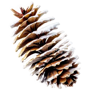 Frosty Pine Cone Png Fsi73 PNG Image