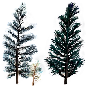 Frosty Pine Trees Png Jln PNG Image