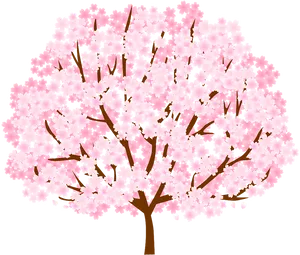 Full Bloom Cherry Blossom Tree Illustration PNG Image