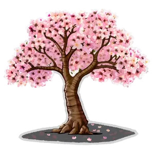 Full Bloom Cherry Tree Png 06212024 PNG Image