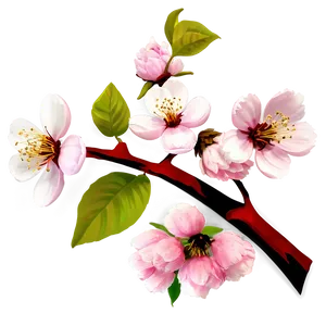 Full Bloom Cherry Tree Png 46 PNG Image