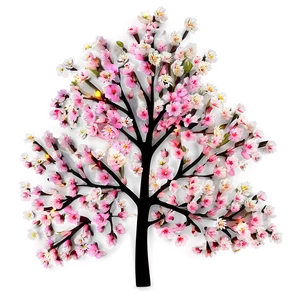 Full Bloom Cherry Tree Png Wiq16 PNG Image