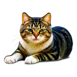 Funny Cat Clipart Png 13 PNG Image