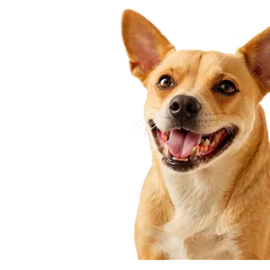 Funny Dogs Png 75 PNG Image