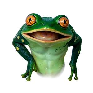 Funny Frog Meme Png 06212024 PNG Image