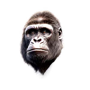 Furious Gorilla Head Png Cks PNG Image