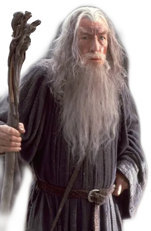 Gandalfthe Wizard Portrait PNG Image