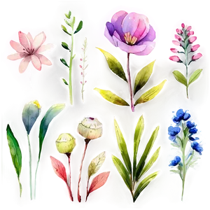 Garden Flower Watercolor Png 06272024 PNG Image