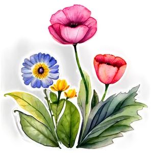 Garden Flower Watercolor Png Mtg99 PNG Image