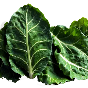 Garden Fresh Collard Greens Png Vth43 PNG Image