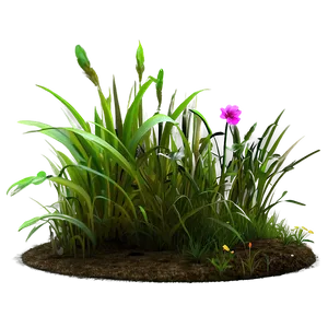 Garden Grass Patch Png Fih64 PNG Image