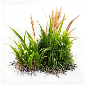 Garden Grass Patch Png Uak93 PNG Image