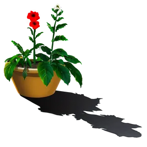 Garden Plant Shadow Png 8 PNG Image