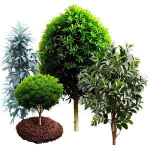 Garden Shrubs Png Bcs70 PNG Image