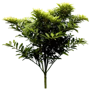 Garden Shrubs Png Oaf PNG Image