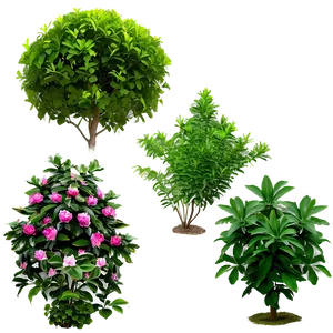 Garden Shrubs Png Qau PNG Image