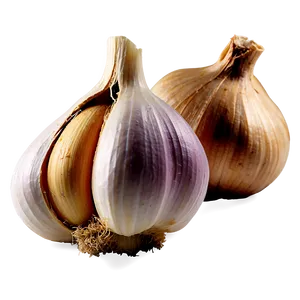 Garlic Clove PNG Qgr51 PNG