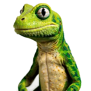 Geico Brand Mascot Gecko Png Nck65 PNG Image