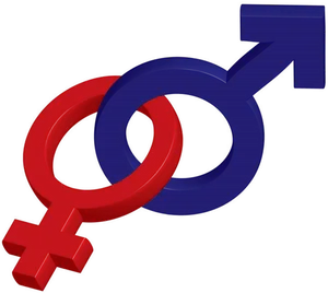 Gender Symbols Interlocked PNG Image